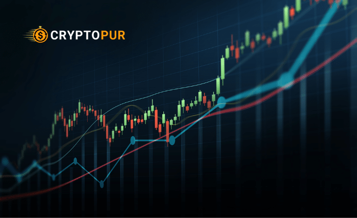 Bat Crypto Price in INR