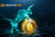 Big Bull Crypto Price in India