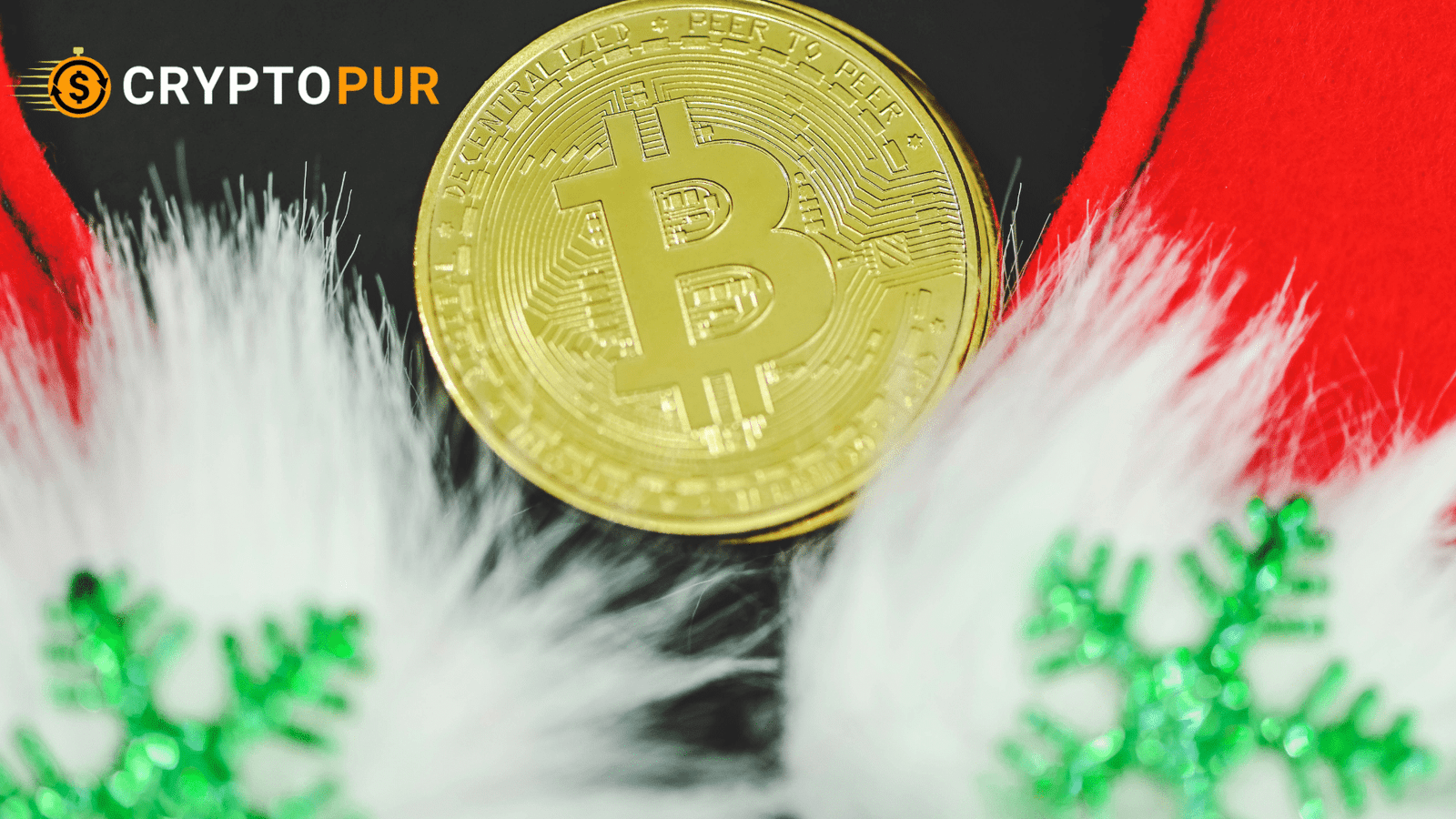 Crypto Pur Recharge India