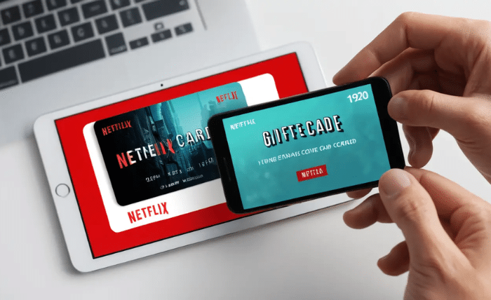 netflix gift card india